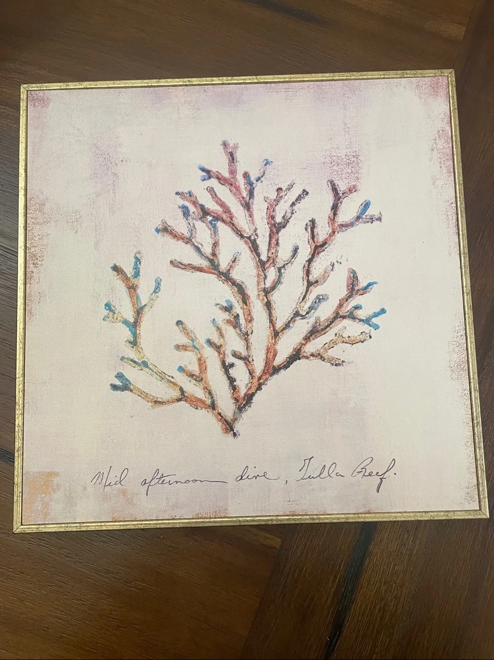 Pier 1 Coral Glicee Framed Art